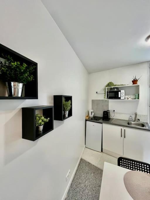 Studio 3 Rue Theodore Bac - Dabnb ليموج المظهر الخارجي الصورة